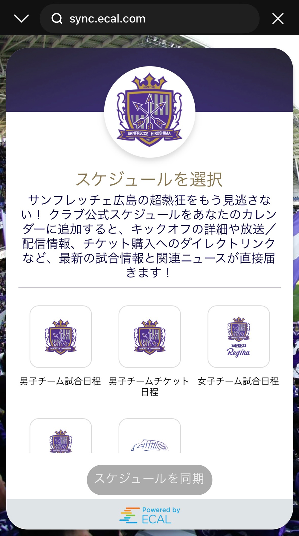 同期