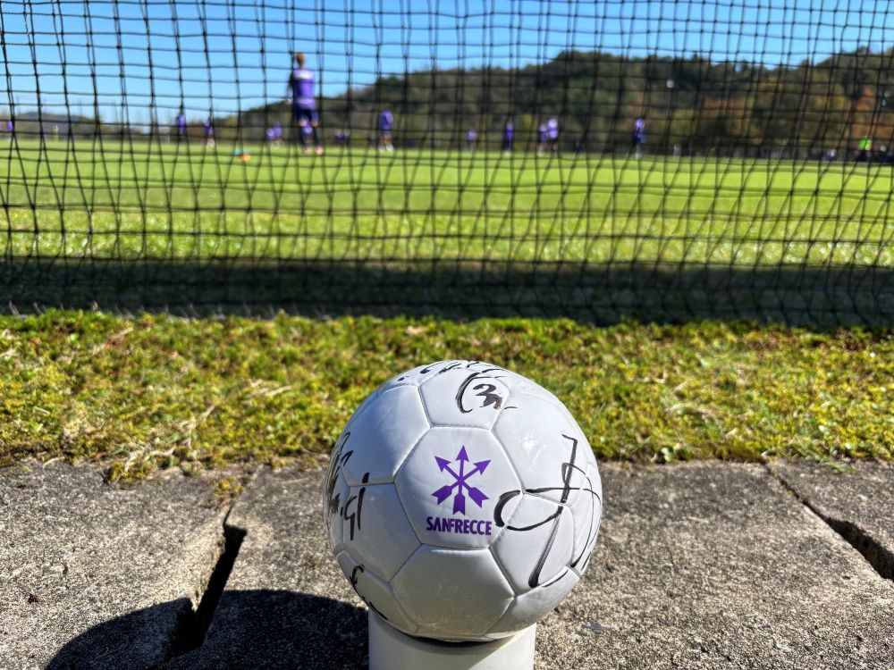 寄せ書きサイン入り2号球