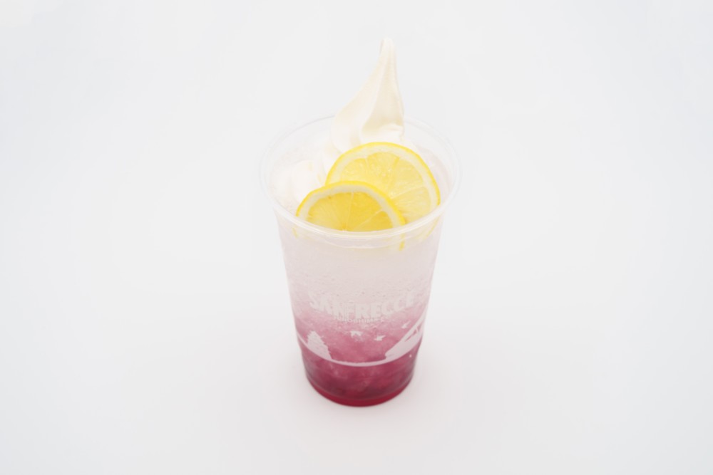 サンチェスカッシュフロート