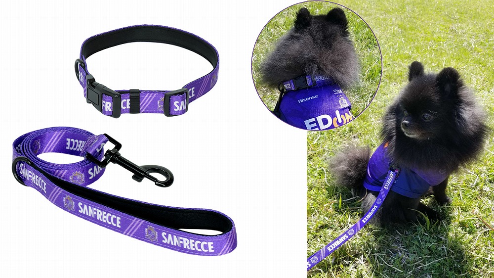 ドッグリード・首輪セット