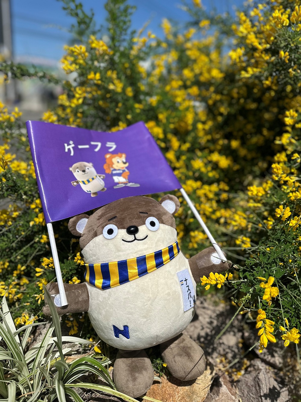 ナスバブース