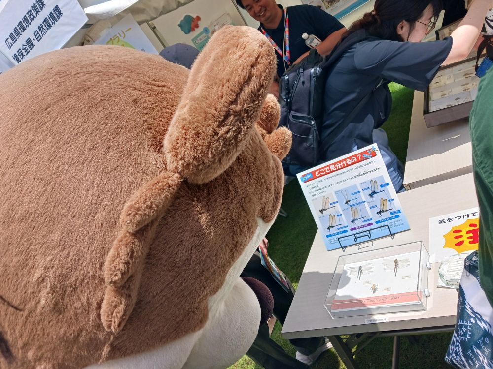 環境の日