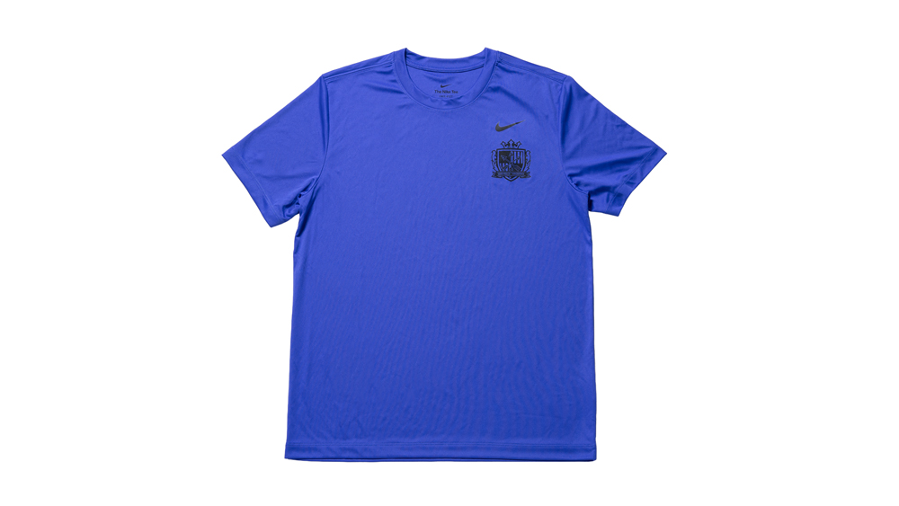 NIKE DF STD FLEX Tシャツ バイオレット